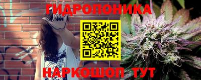 a pvp Дубна